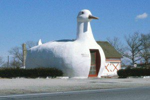 The_Big_Duck